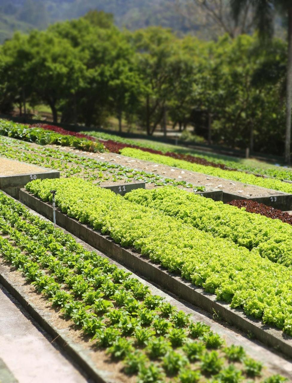 Unique Garden Hotel Mairipora Ngoại thất bức ảnh